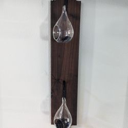 Air Plant Wall Hanging