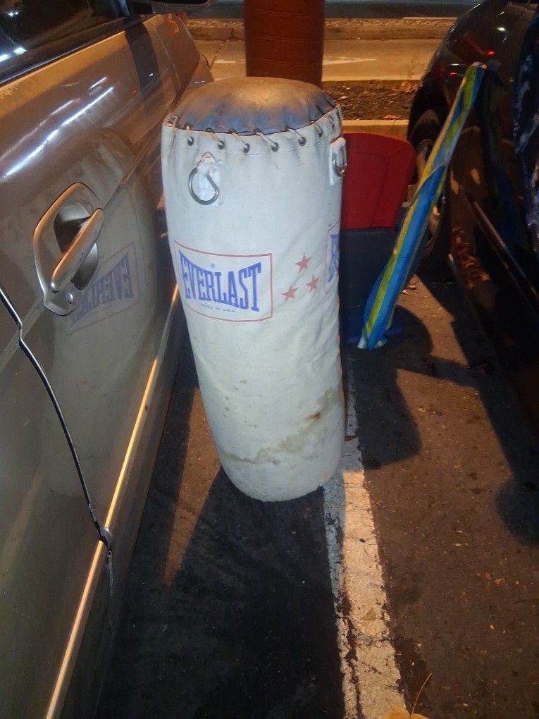 Everlast Punching Bag