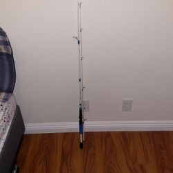 Excursion Spinning Rod