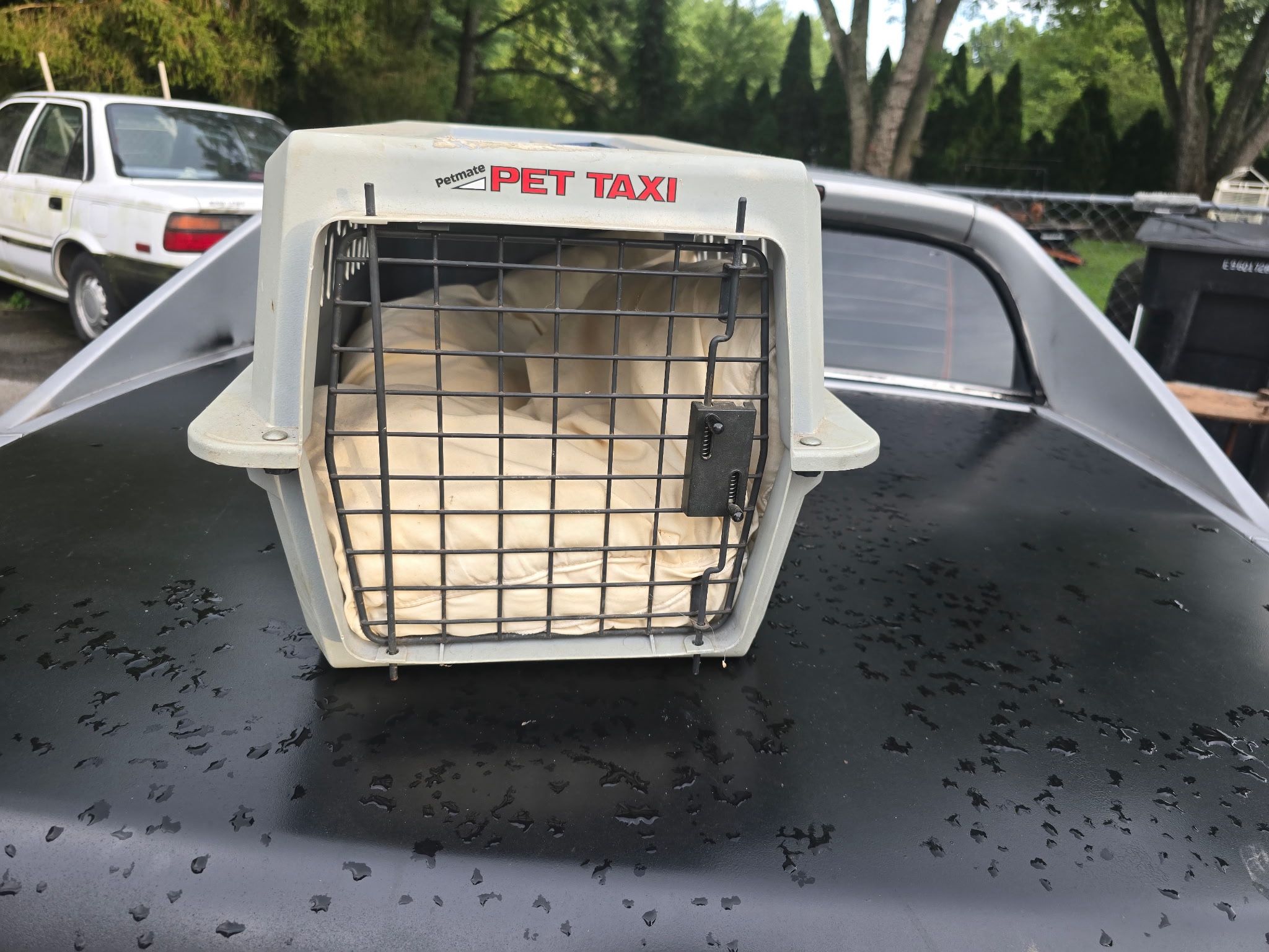 Dog Carry Crate