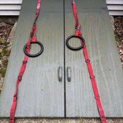 TRX Door Straps 