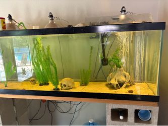 120 gallon fish tank with all accessories