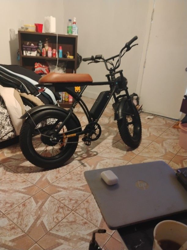 E Bike 