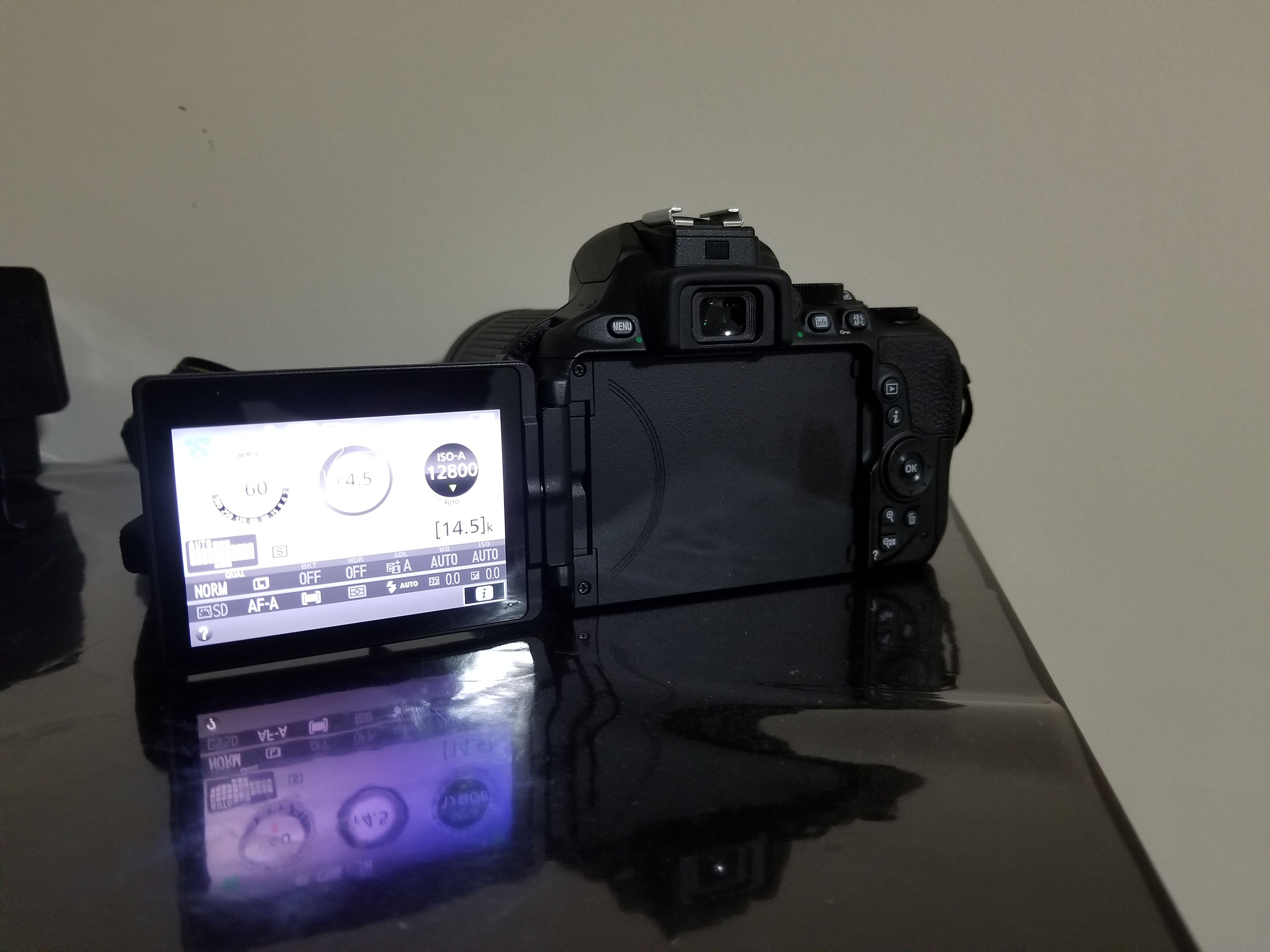 NIKON DX D5600 DSLR
