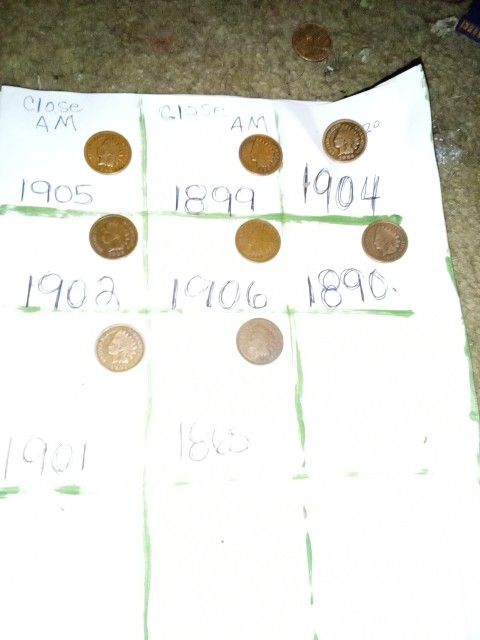 Indian Head Pennies. Selling All Together. 8 Coins Total. Make Offer For All 