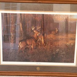 Hayden Lambson Deer Print