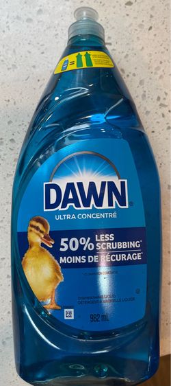 Dawn
