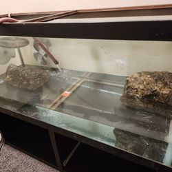 Hurry Up Before It's Gone!!!! 75 Gallon Aquarium With Red Eared Slider Turtle!!!!!