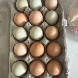 eggs for sale and “not “ baby chicks and pullets,hens,rooster