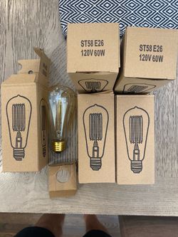 Incandescent Edison style bulbs (5)