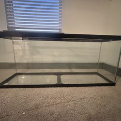 Glass Tank
