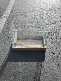 2 Gallon aquarium