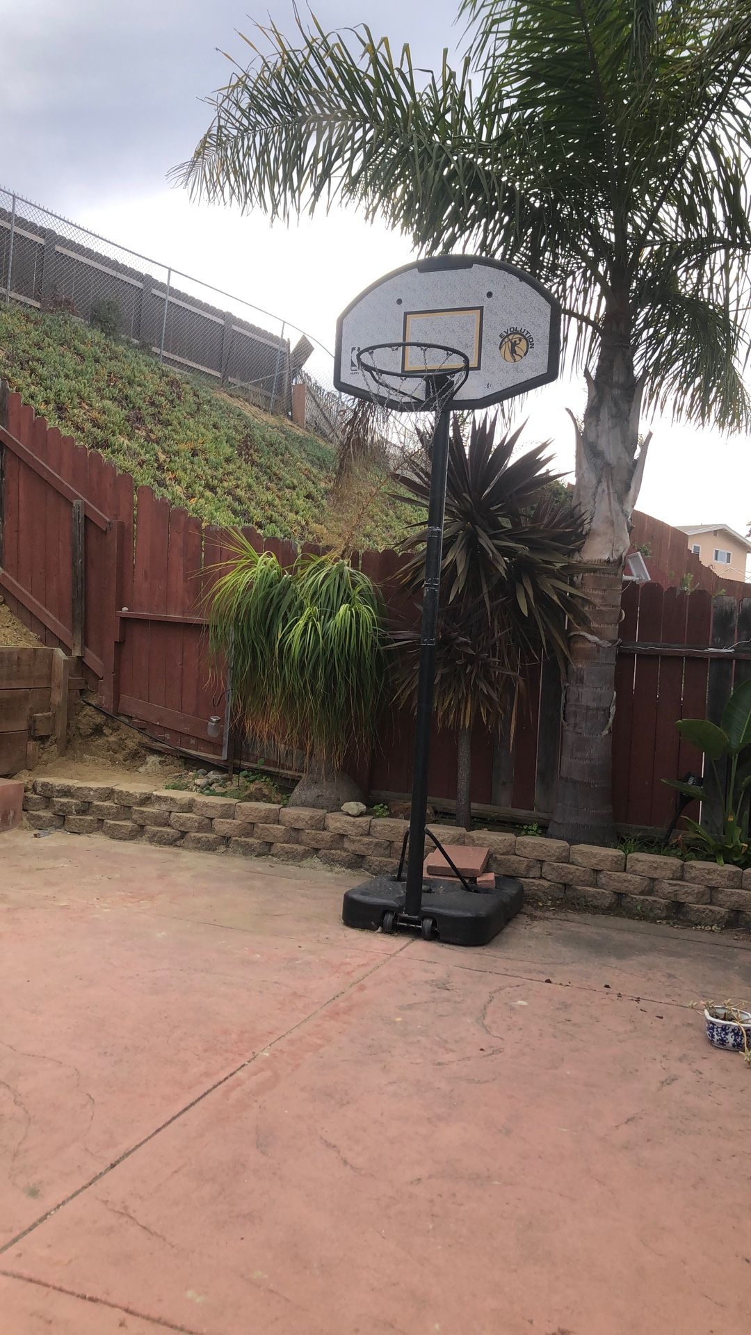 Free Basketball Hoop