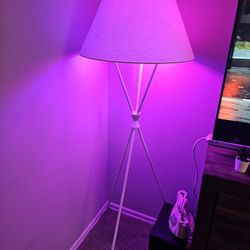 Floor Lamp 