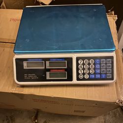 Scale