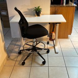 Adjustable Height Desk and Chair $149 