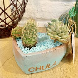 Concrete Heart Planter / Pot With Succulents /cactus 