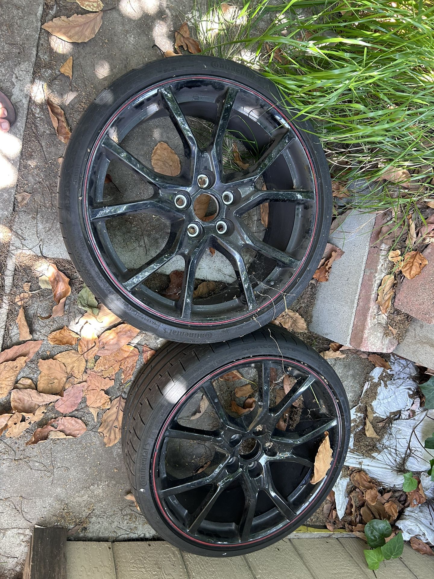 Type R Stock Rims