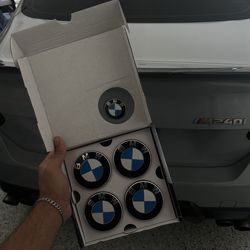 bmw floating center caps