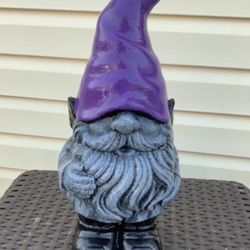 The Purple Gnome