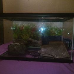10 Gallon Tank W/ ACCESSORIES 