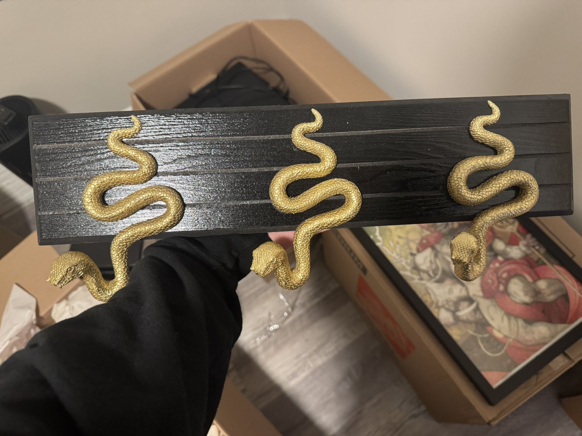 Snake Coat Rack