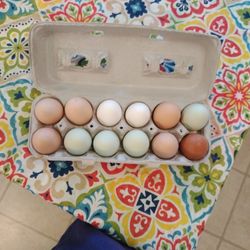 Eggs for sale
