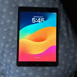 iPad 9th gen | 256gb 
