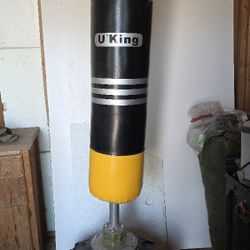 Punching Bag New