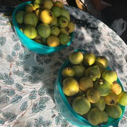 Guava’s