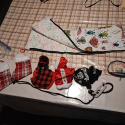 Beard dragon accessories