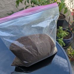 Premium Compost 2 lbs -  Homemade & Local