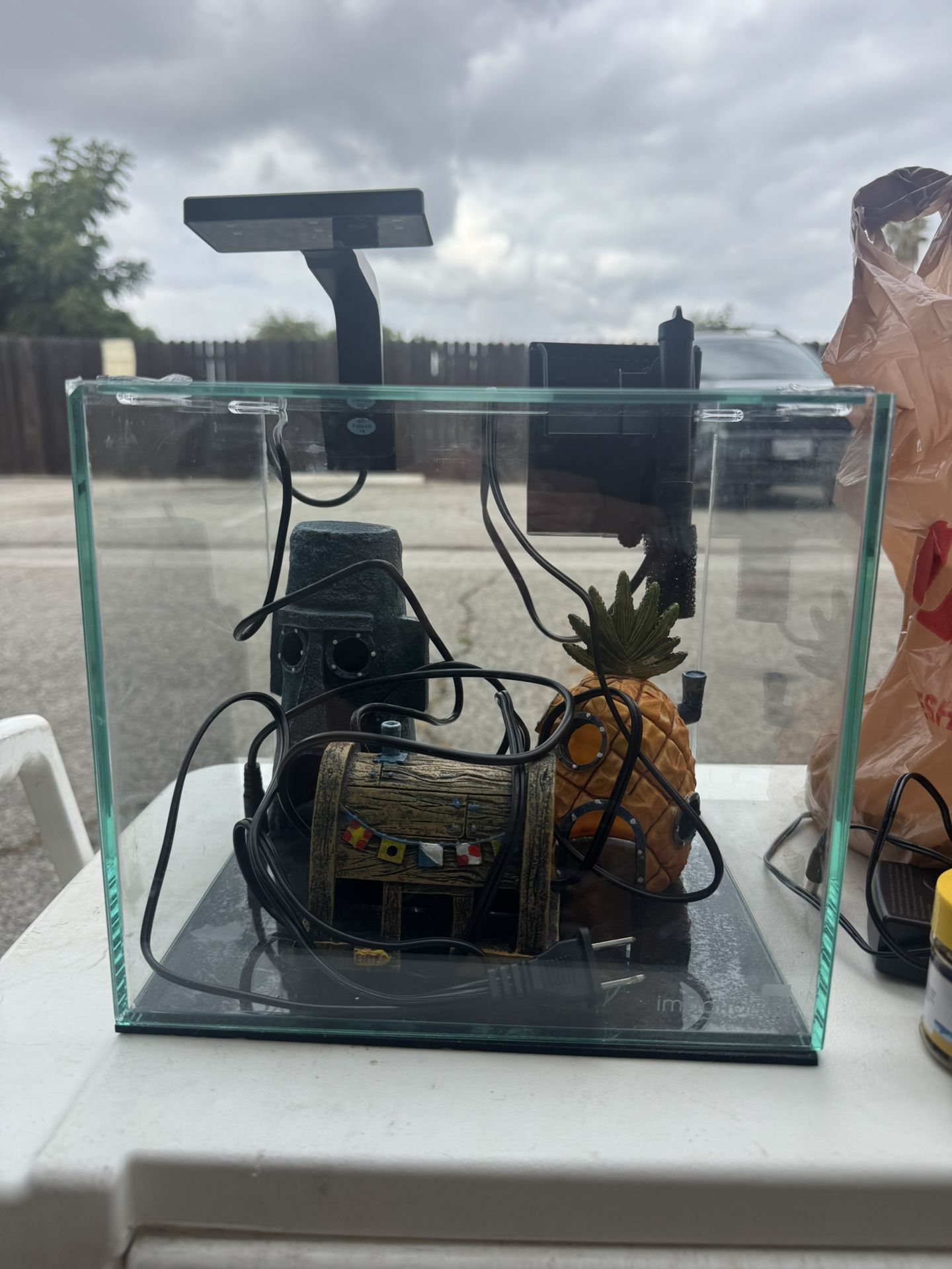 2.5 Gallon 1 Foot By 1 Foot Fish Tank