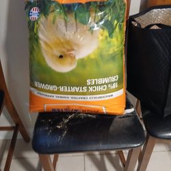 Chick Feed Free