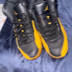 Jordan 12s