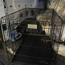 Dog Crate, 36.7" L X 23.6" W X 24.9" H