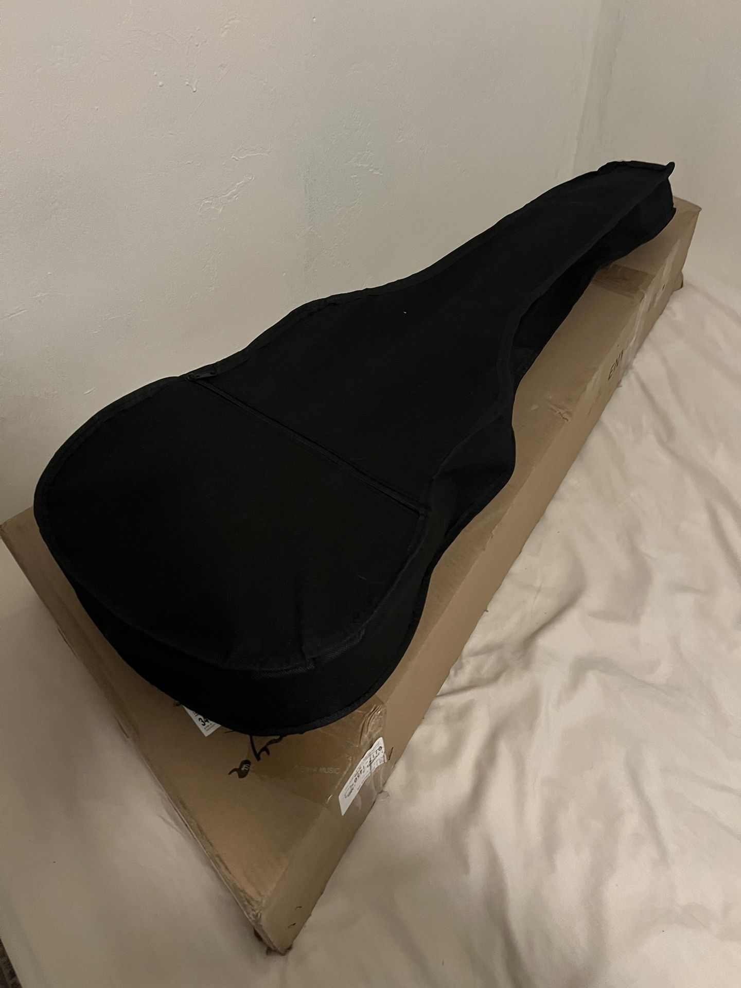 Acoustic Guitar 