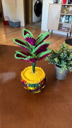 Crochette handmade plant