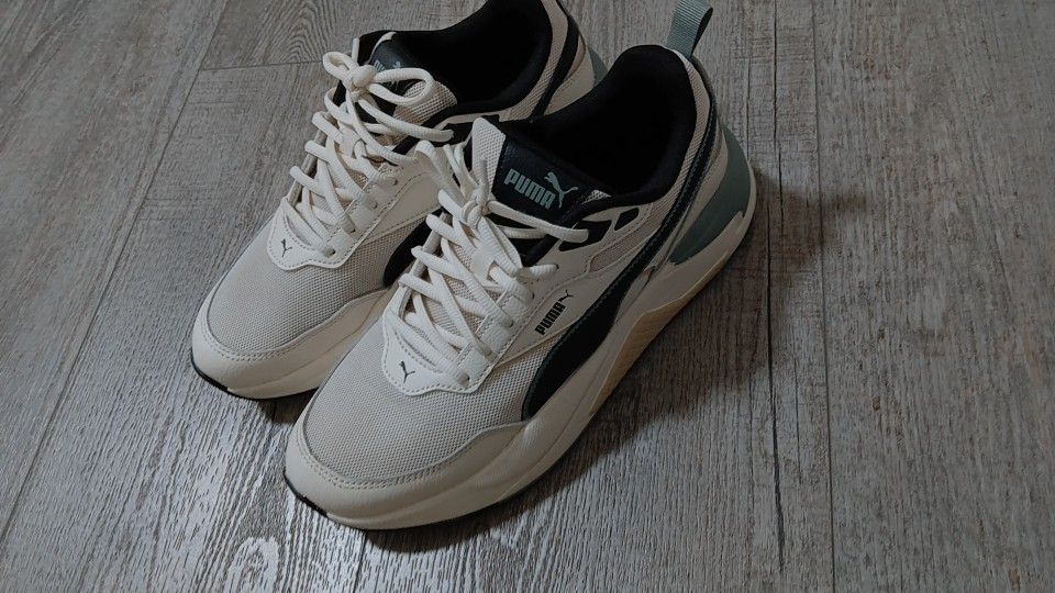 Puma X-Ray