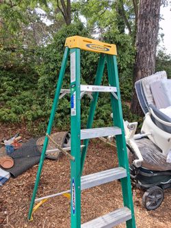 Werner 6 ft ladder