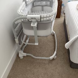 Ingenuity Bassinet