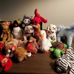 TY Beanies, Each . Tags On