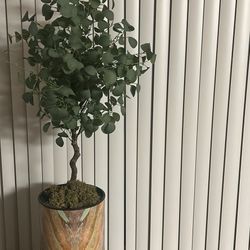 Artificial Eucalyptus Plant