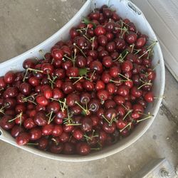 Sweet Fresh Picked Cherries FREE DELIVERY!! 