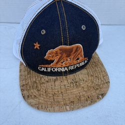 Trucker’s Hat