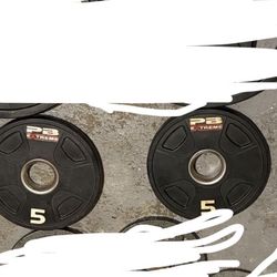 5LB (2) PB Extreme Plates