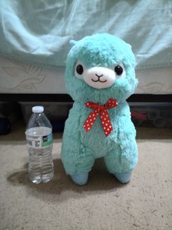 Alpacasso Teal Alpaca