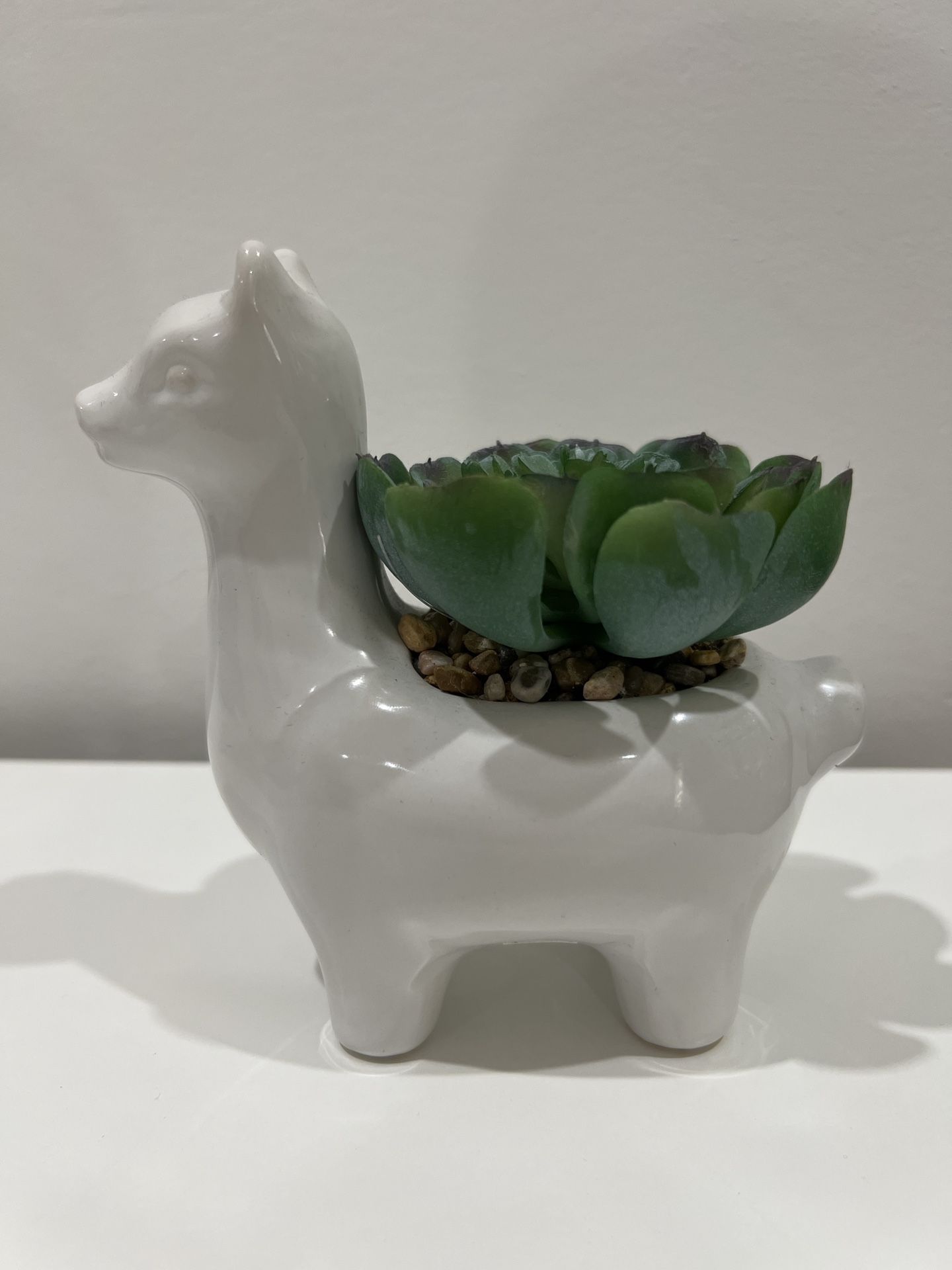 Ceramic Animal Planter w/Faux Succulent