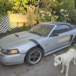 2001 Ford Mustang