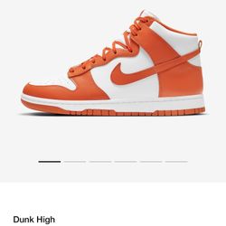Nike Dunk High Size 10